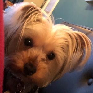 Meet your Posher, Emi